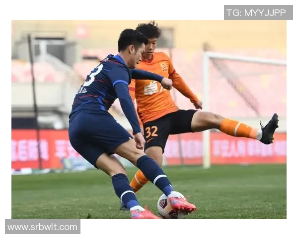 深入剖析武汉排球队技术特点与其他球队的全面对比分析