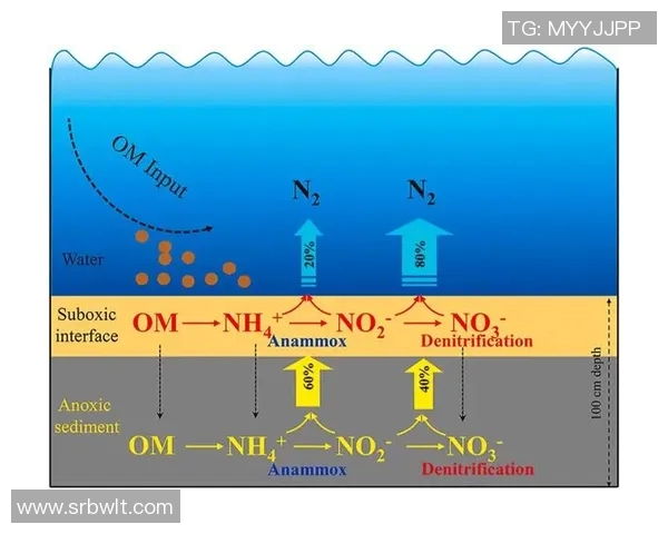 体育实时数据北京排球队整体表现分析:压制优势与失误影响的深度探讨 体育实时数据北京排球队整体表现分析:压制优势与失误影响的深度探讨