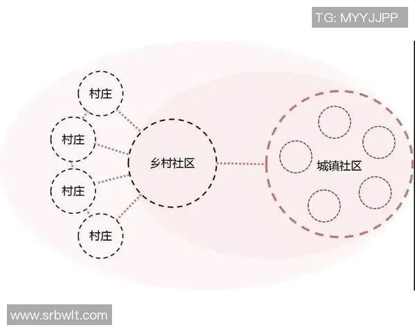 运动数据南京攀岩队的运营模式与发展策略深度解析与热点探讨