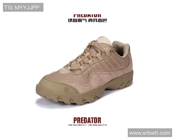 运动数据攀岩战术解析北京攀岩队如何构建高效进攻体系与战术配合 运动数据攀岩战术解析北京攀岩队如何构建高效进攻体系与战术配合