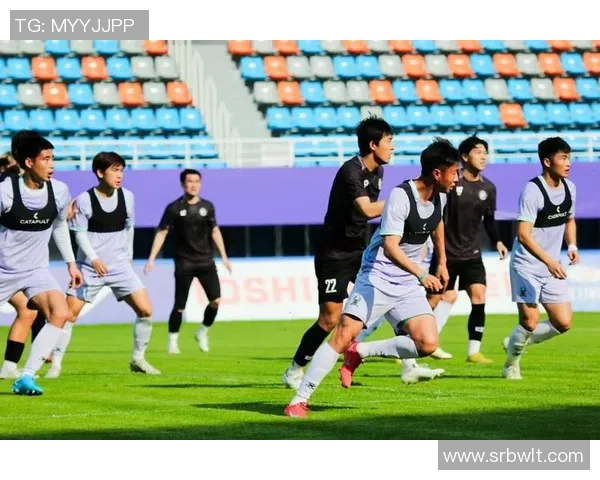 运动最新数据深入探讨杭州足球队团队协作的优势与不足分析 运动最新数据深入探讨杭州足球队团队协作的优势与不足分析