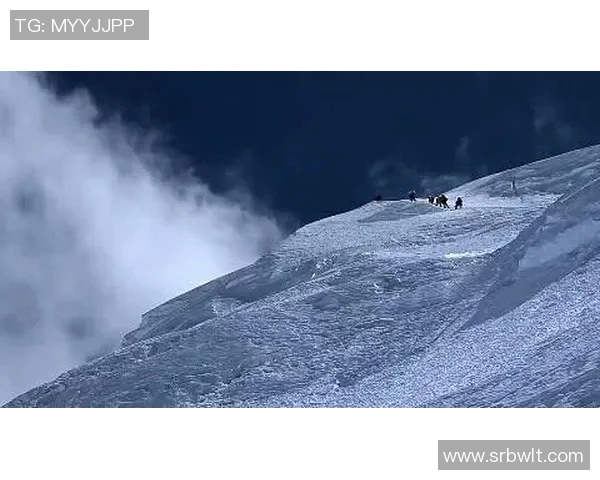 实时新闻攀登人生巅峰陈伟与深度对话中的攀岩哲学与人生启示 实时新闻攀登人生巅峰陈伟与深度对话中的攀岩哲学与人生启示